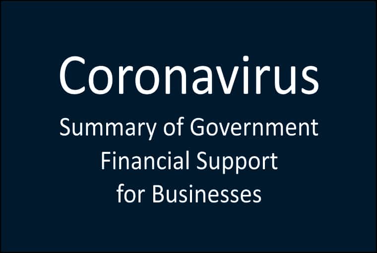 Govt Support for Businesses (update)